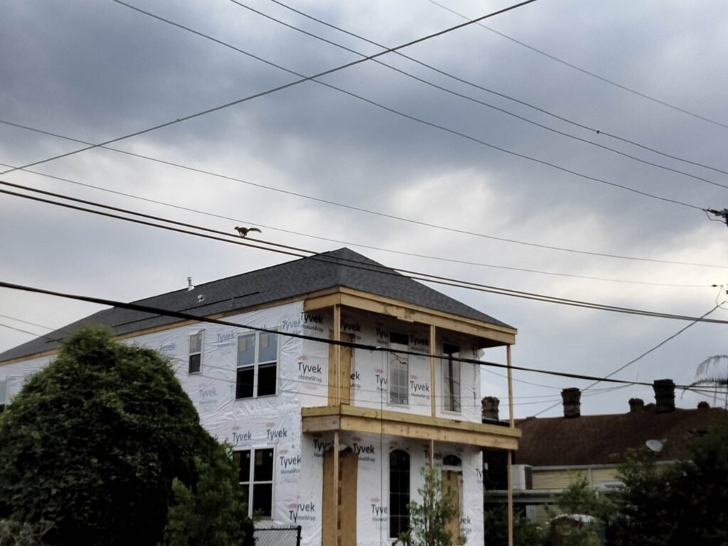 Installed an Atlas Roof System on New Construction Uptown New Orleans